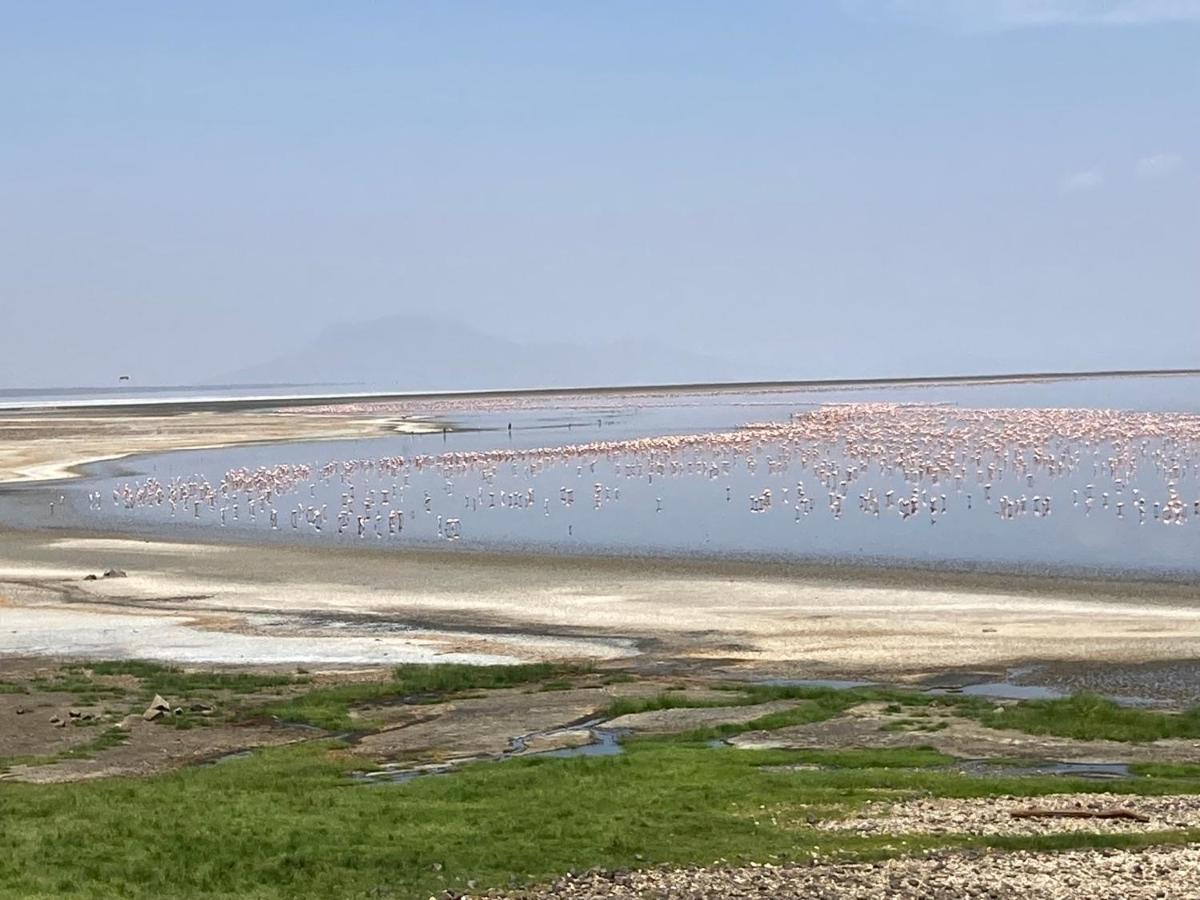 Lake Natron Maasai Guesthouse Mtowabaga Exterior photo